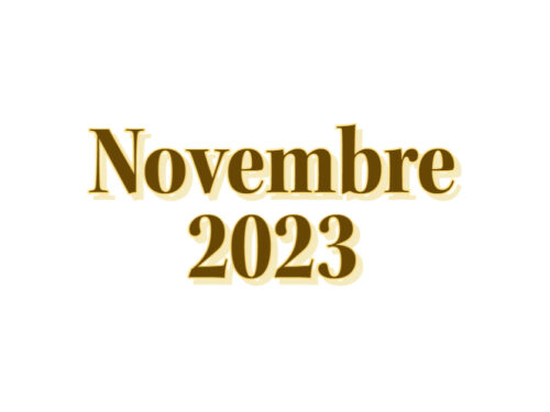 I migliori di novembre 2023